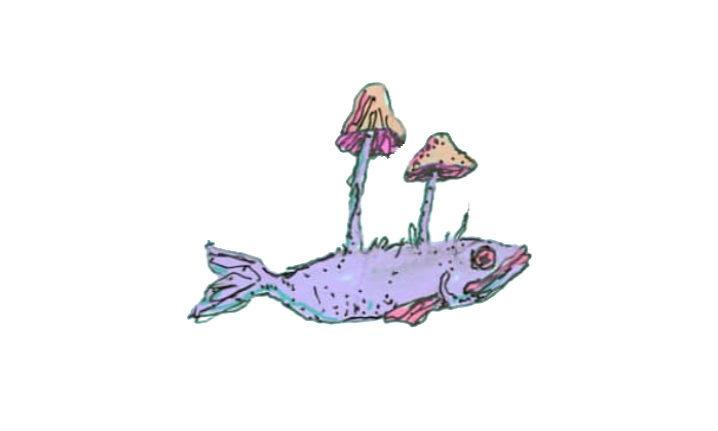 fish-3-m.png